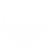 50 X 50