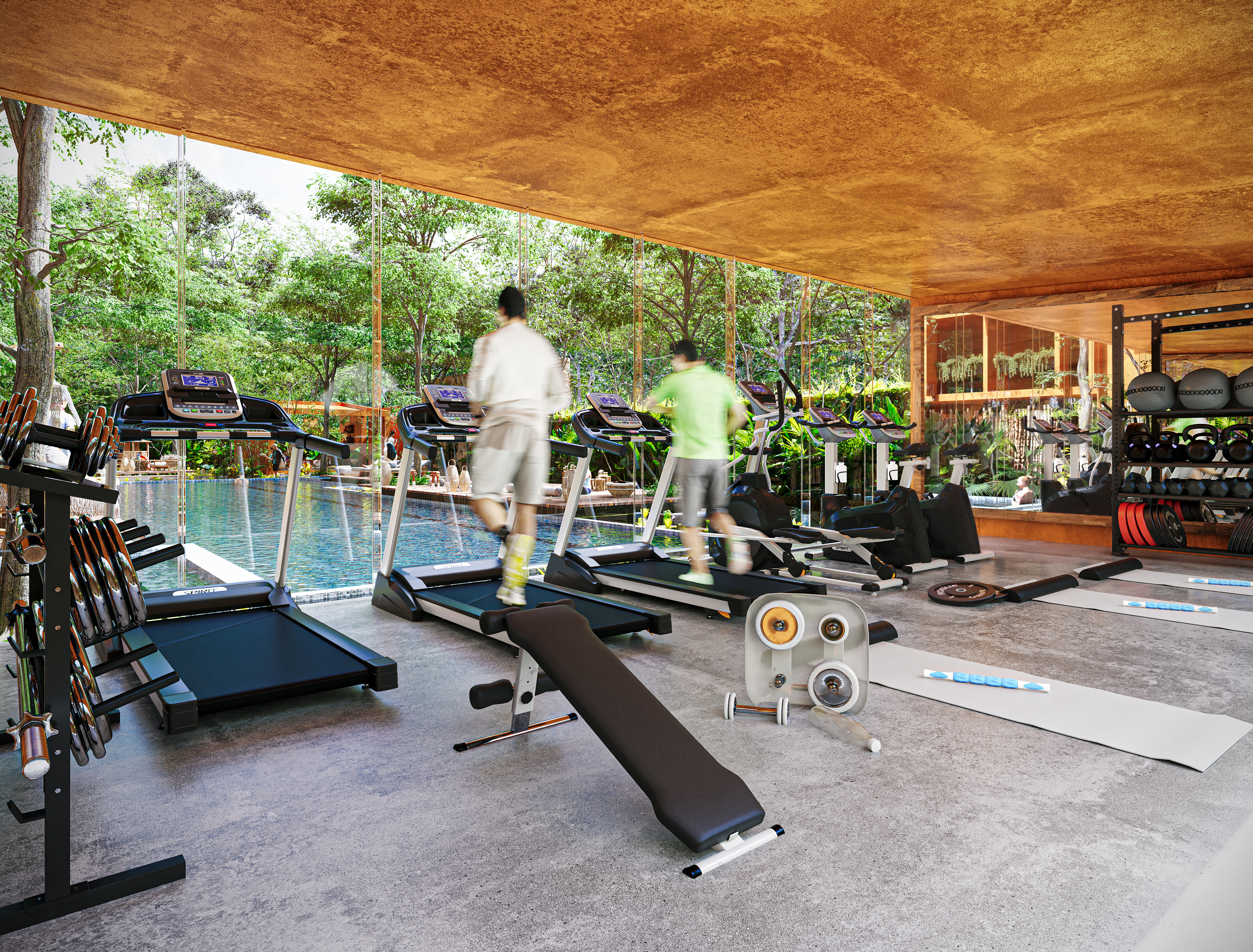 15.- GYM-1