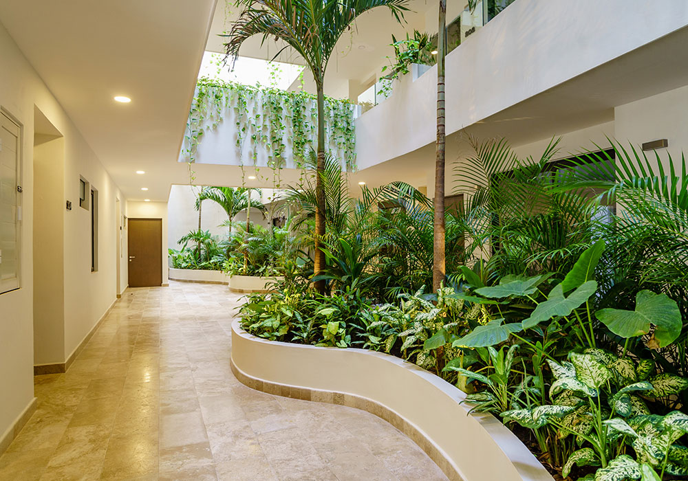 Galeria-3-1