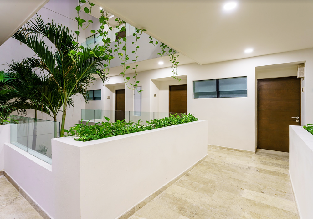 Galeria-Pasillo