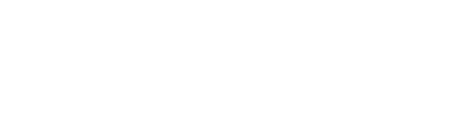 Logo blanco ekasa original